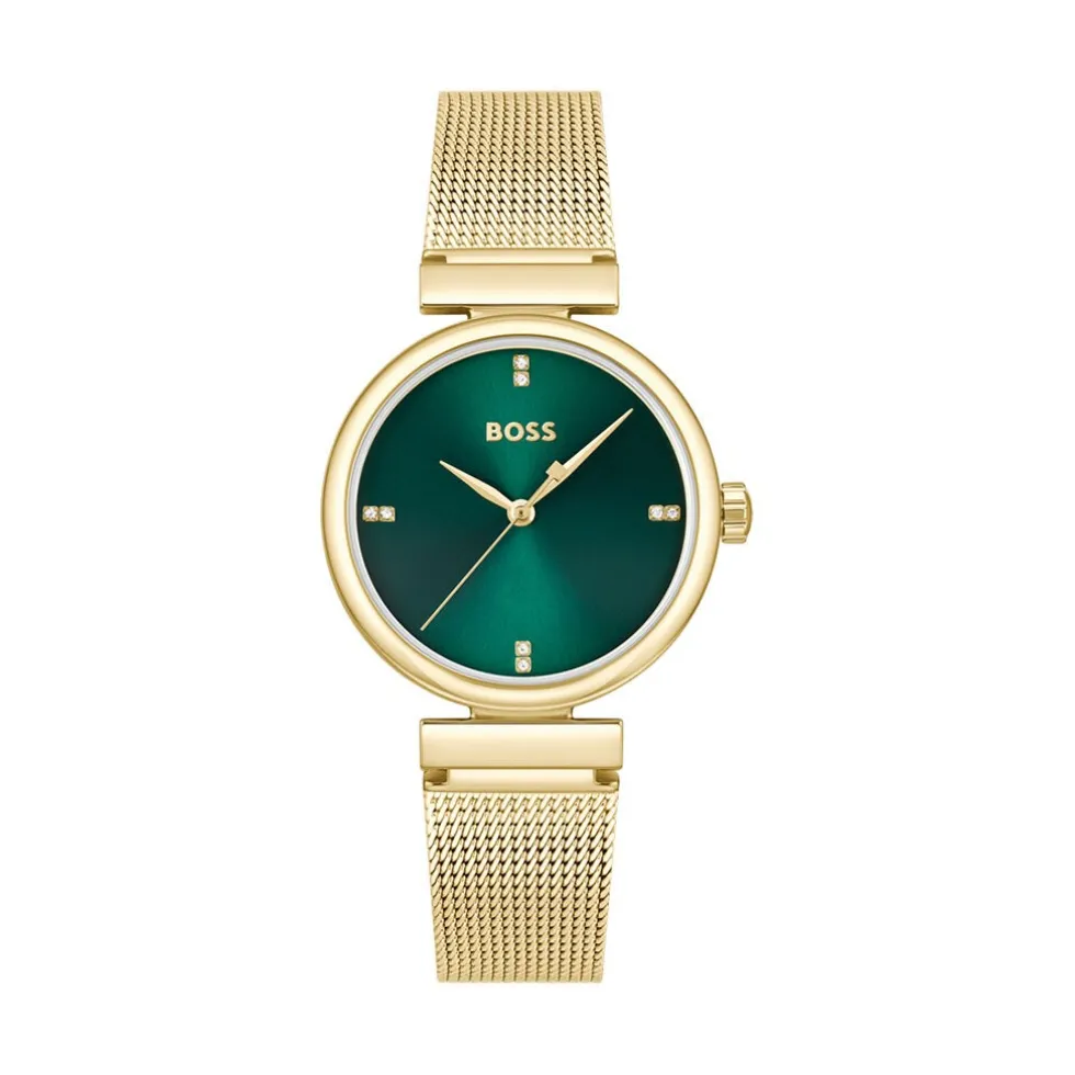 Montre Boss Rosehill Vert