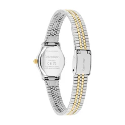 Montre Calvin Klein Ck Contemporary Vert