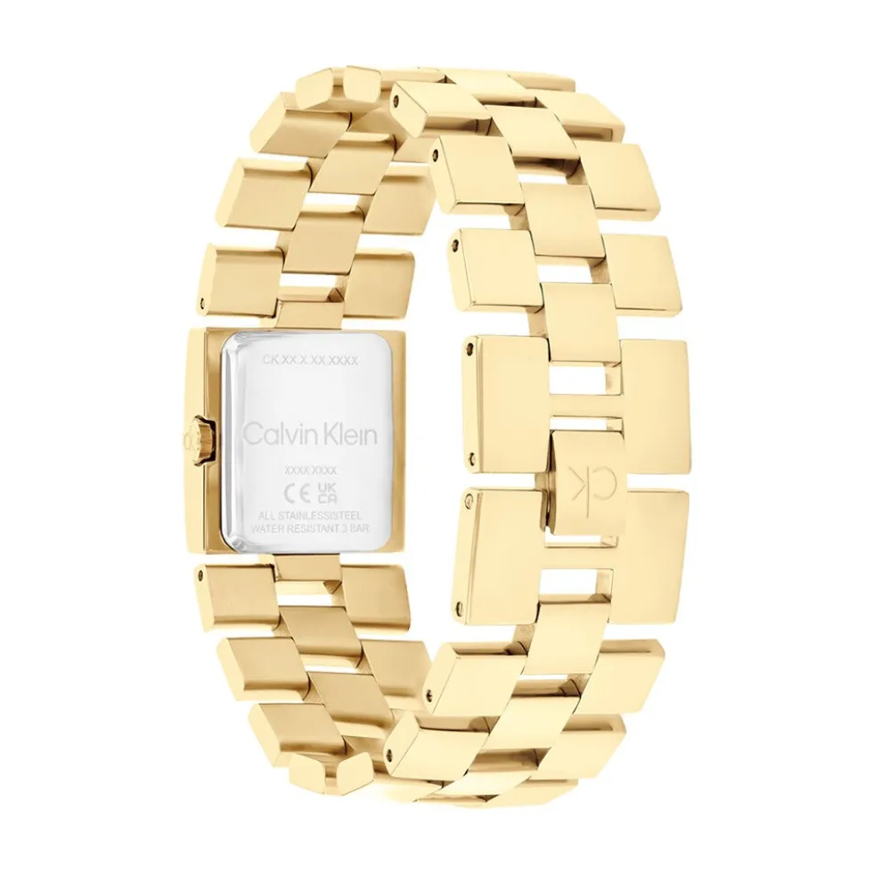 Montre Calvin Klein Ck Meridian Champagne