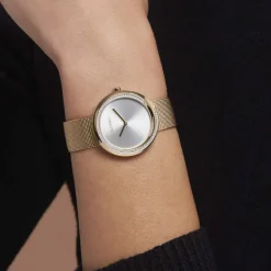 Montre Calvin Klein Twist Argenté