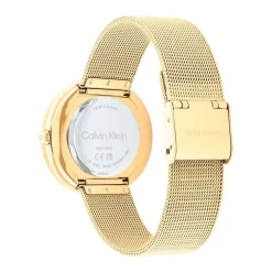 Montre Calvin Klein Twist Argenté