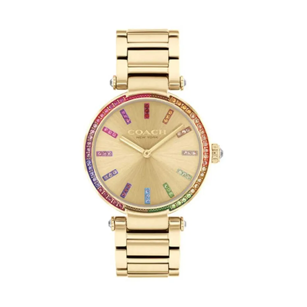 Montre Coach Cary Doré