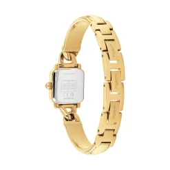 Montre Coach Cass Blanc