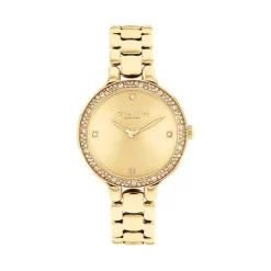 Montre Coach Chelsea Vert