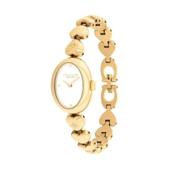 Montre Coach Sammy Blanc