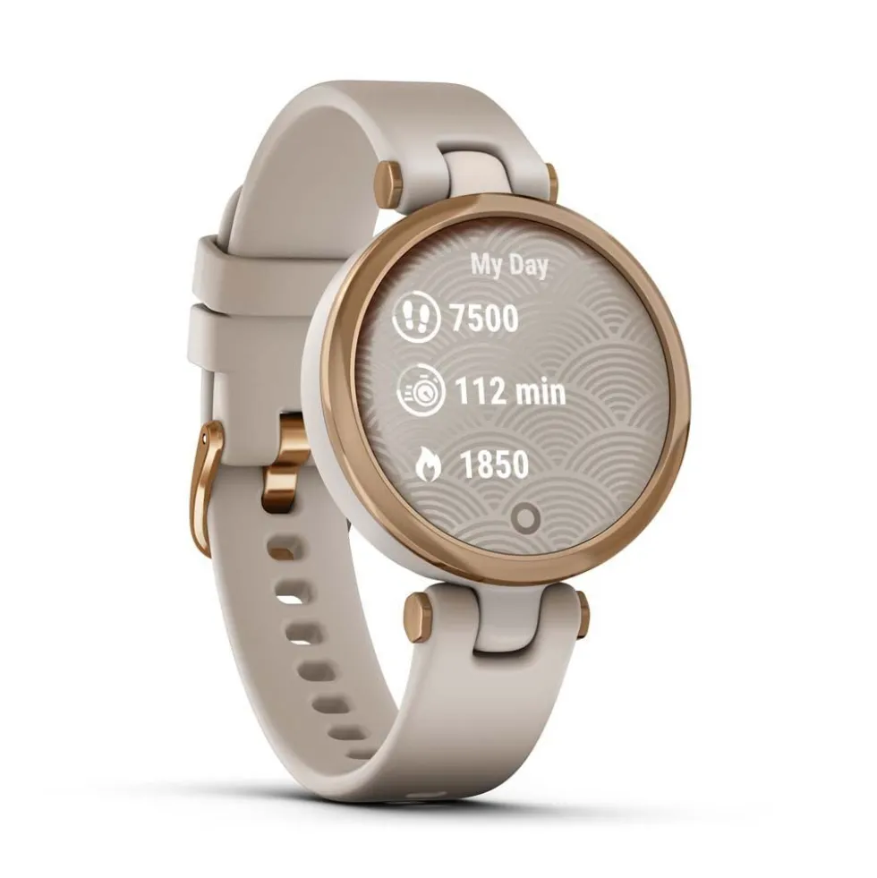 Montre Connectée Garmin Lily Active