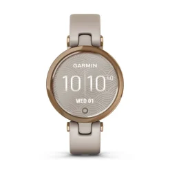 Montre Connectée Garmin Lily Active
