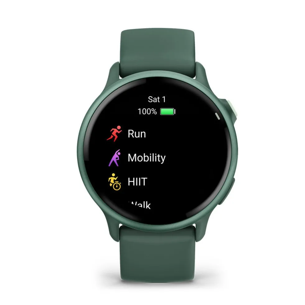 Montre Connectée Garmin Vivoactive 6