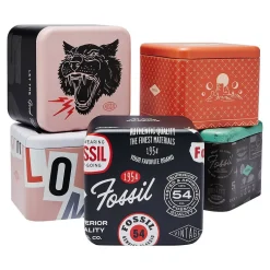 Montre Fossil Blue Dive Noir