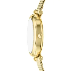 Montre Fossil Carlie Mini Nacre Blanche