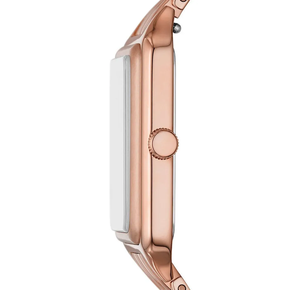Montre Fossil Raquel Brun