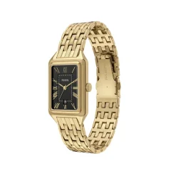 Montre Fossil Raquel Noir