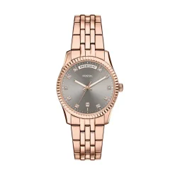 Montre Fossil Scarlette Gris