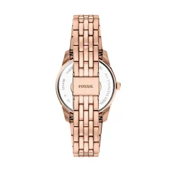 Montre Fossil Scarlette Gris