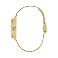 Montre Guess Boa Champagne