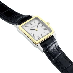 Montre Herbelin Luna Gris