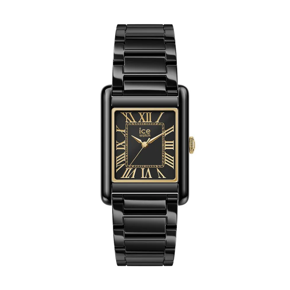 Montre Ice Watch Power Pw6