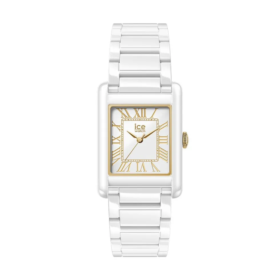 Montre Ice Watch Power Pw6