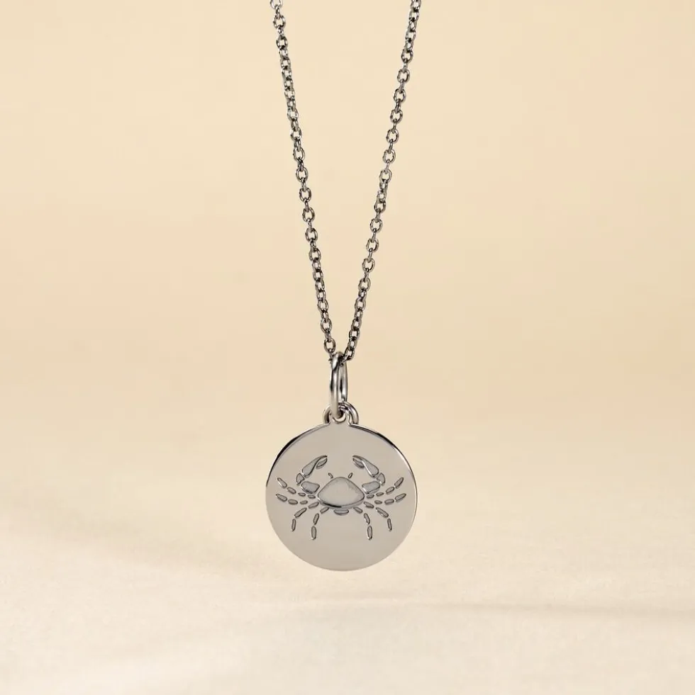 Pendentif Zodiaque Rond Argent Blanc