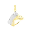 Pendentif Hillel Cheval Or Bicolore