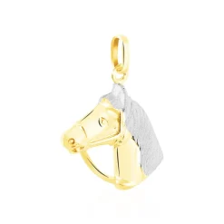 Pendentif Hillel Cheval Or Bicolore