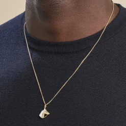 Pendentif Hillel Cheval Or Bicolore