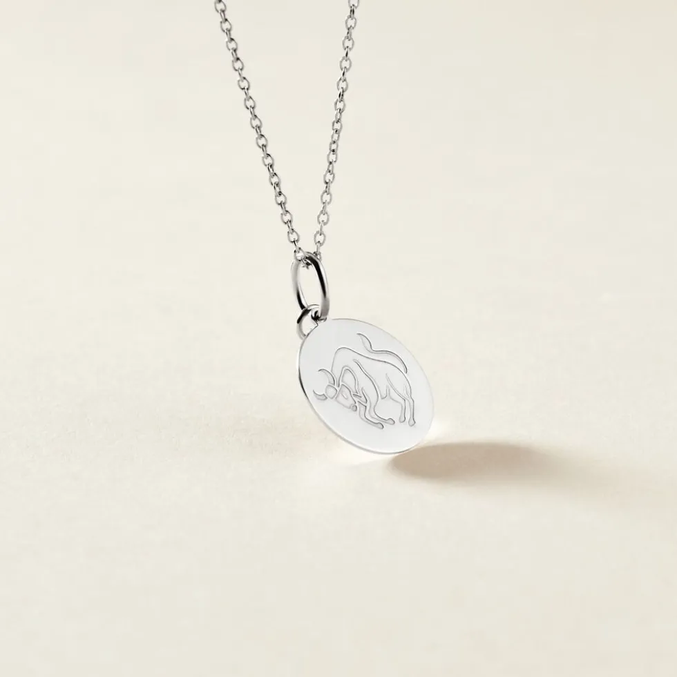 Pendentif Zodiaque Rond Argent Blanc