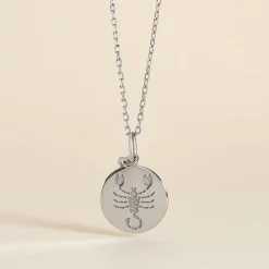 Pendentif Zodiaque Rond Argent Blanc